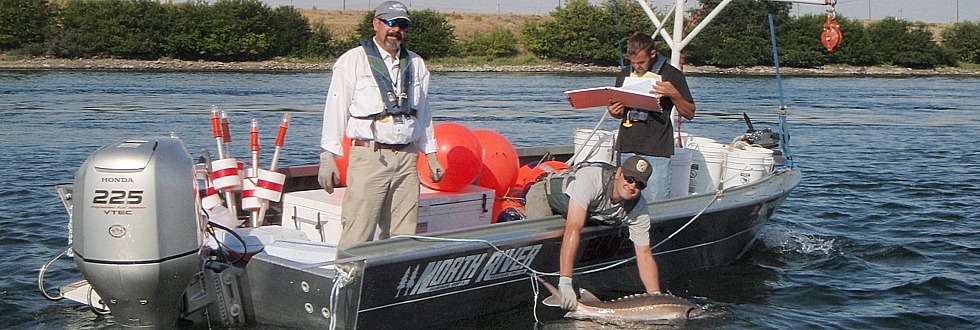 Boat with caught fish