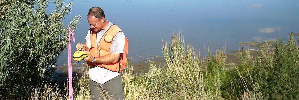 Wetland assessment