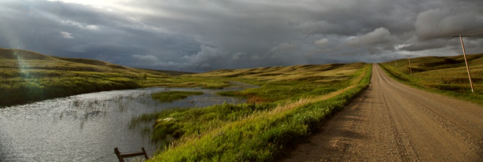 Wetlands