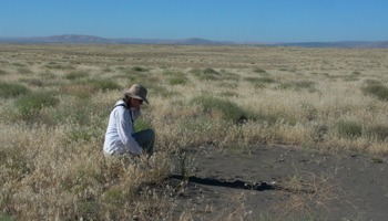 Locating occurrences of priority species and habitats in the project area