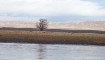 Documenting shoreline vegetation and topography