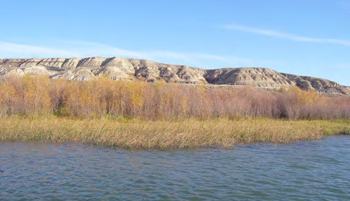 Surveying islands to understand habitats and island use