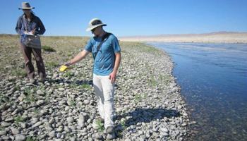 Surveying rare plants along the Hanford Reach