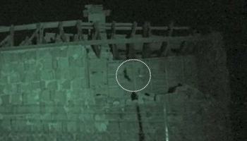 Pallid Bat Observed During 2013 Infrared Video Monitoring at White Bluffs Bank