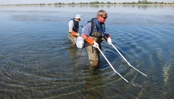 Sampling suitable lamprey habitat zones with an ABP-2 backpack electrofisher