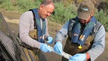 Determining available Pacific lamprey habitat in the Hanford Reach