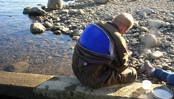 Assessing macroinvertebrates to evaluate species abundance and diversity