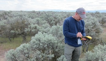 Characterizing shrub-steppe habitats to evaluate potential impacts from multiple contaminants