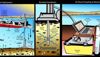 Deploying in-situ conductivity temperature sensors to sample porewater