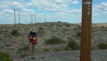 Identifying and mapping invasive plants and noxious weeds