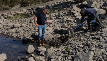 Shoreline water monitoring