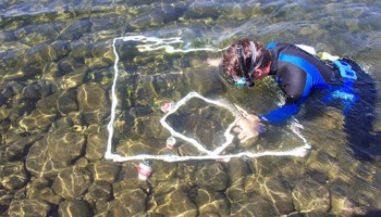 Performing snorkel surveys