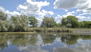 Defining wetland areas and habitats