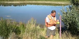 wetland assessment