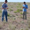 Documenting the status of an artificial burrow