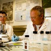 Performing specimen condition assessments and preparing fish tissue samples collected from the Columbia River for analyses of trace metals, radionuclides, and organic compounds.