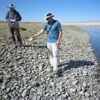 Conducting rare plant surveys along the Columbia River