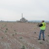 Monitoring fifth-year vegetation