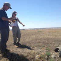 Burrowing owl