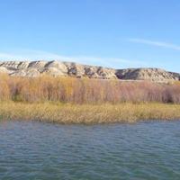 Columbia River habitat survey