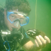 Diver with a mussel