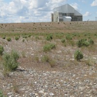 Revegetation