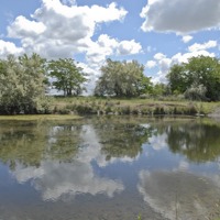 Wetlands