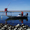 Electrofishing Vessel.